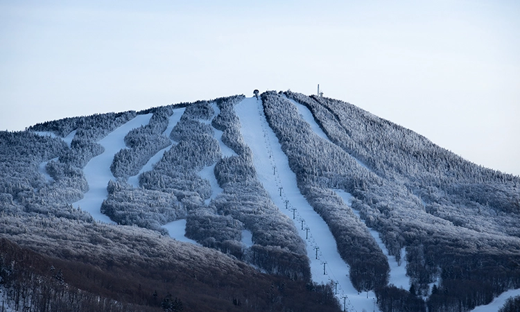 Pico mountain store