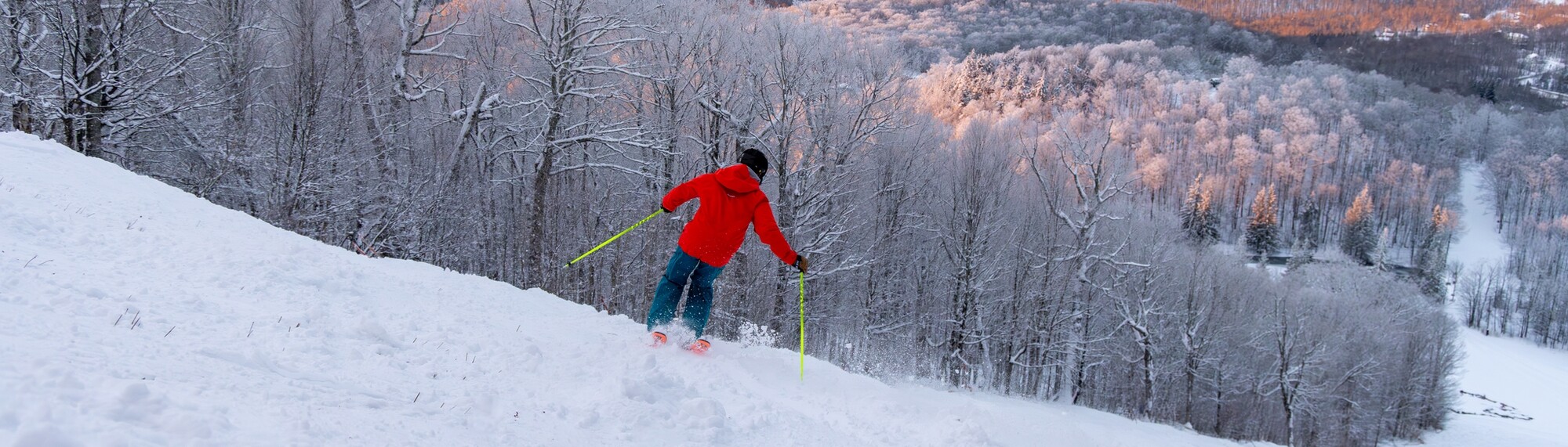 Skier in a red jacket descending a snowy slope surrounded by frosted trees.