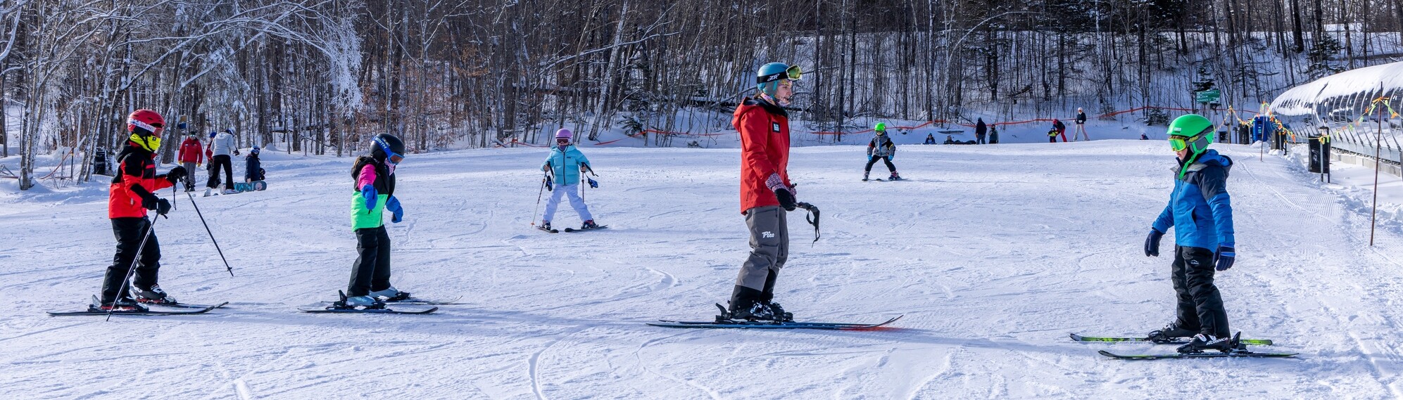 Skiers and children taking lessons on snowy slopes surrounded by trees.